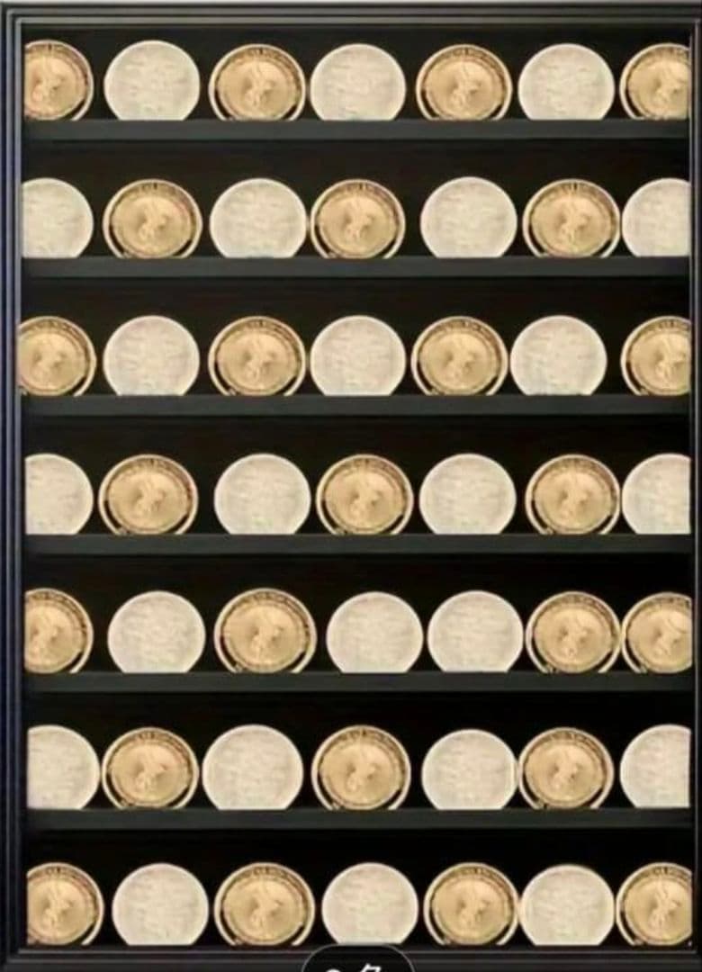 チャレンジ　ディスプレイケース