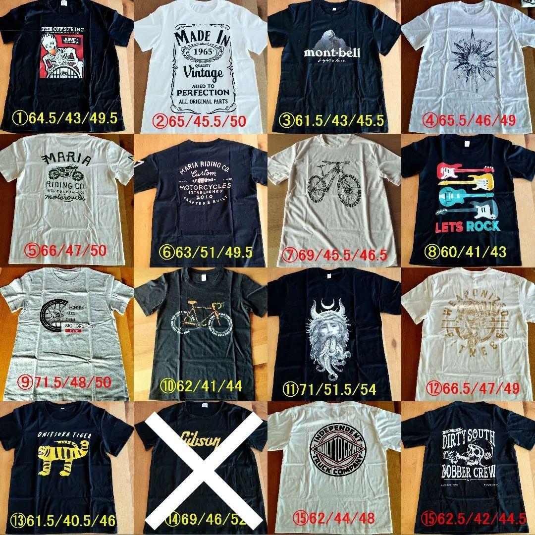 特典付 BACCHUS Global SeriesTACTICS24-STD