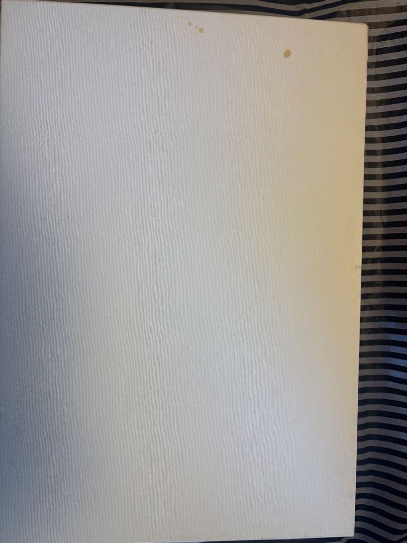 28◆MISS BLUE・PET お洋服　白雪姫　ミスブルー　ペット