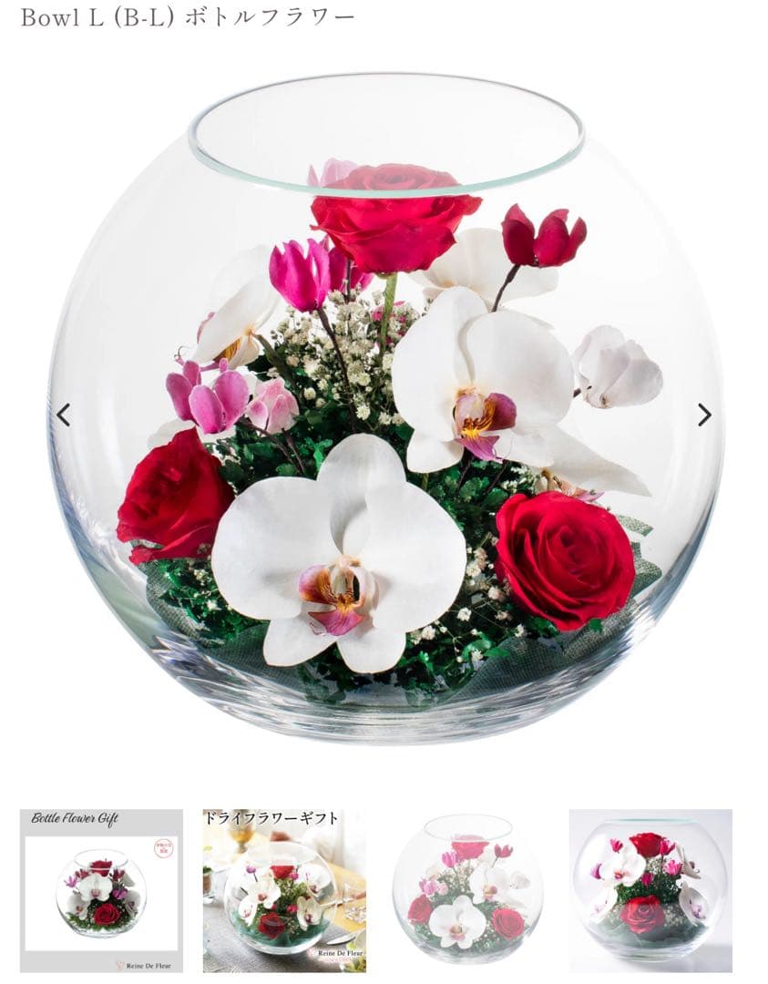 ボトルフラワー　フラワーアレンジメント 胡蝶蘭とバラ 株式会社レンデフロール製