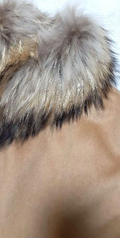 ホメオスタイル☆高級カシミア ポンチョ タヌキファー 42