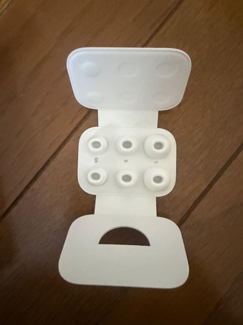 Apple純正 AirPods Pro（第2世代）ライトニング充電端子。