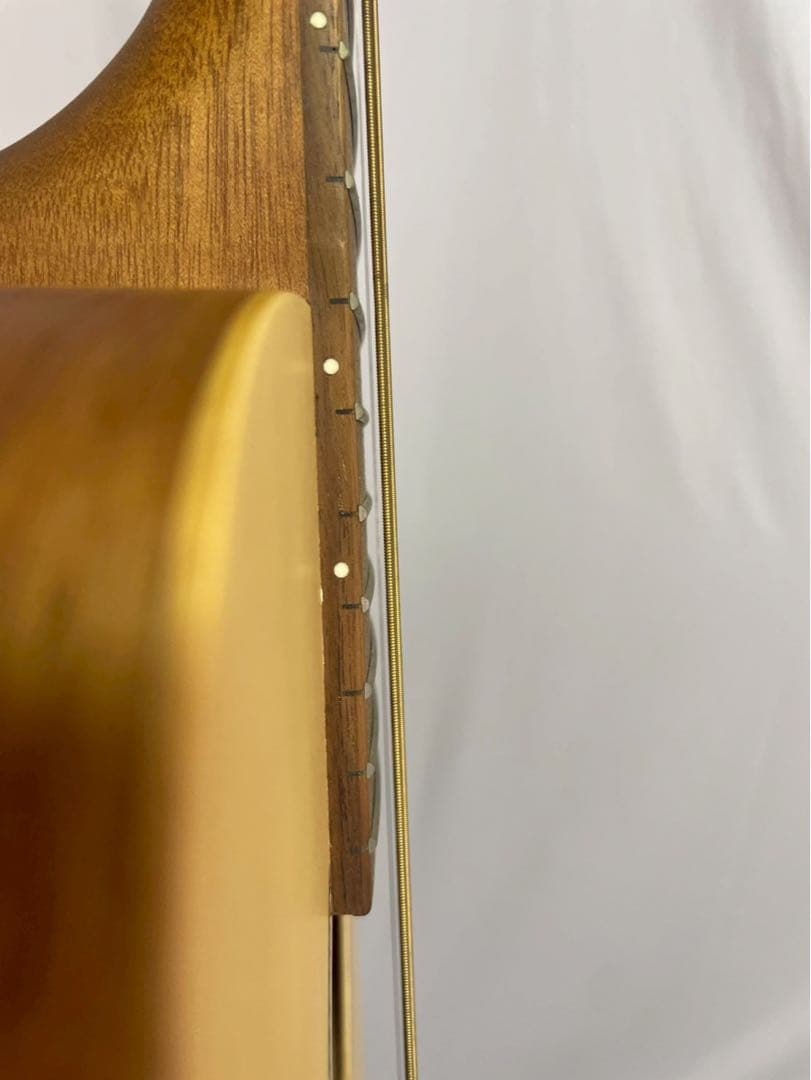 しのたんS.yairi アコースティックギター