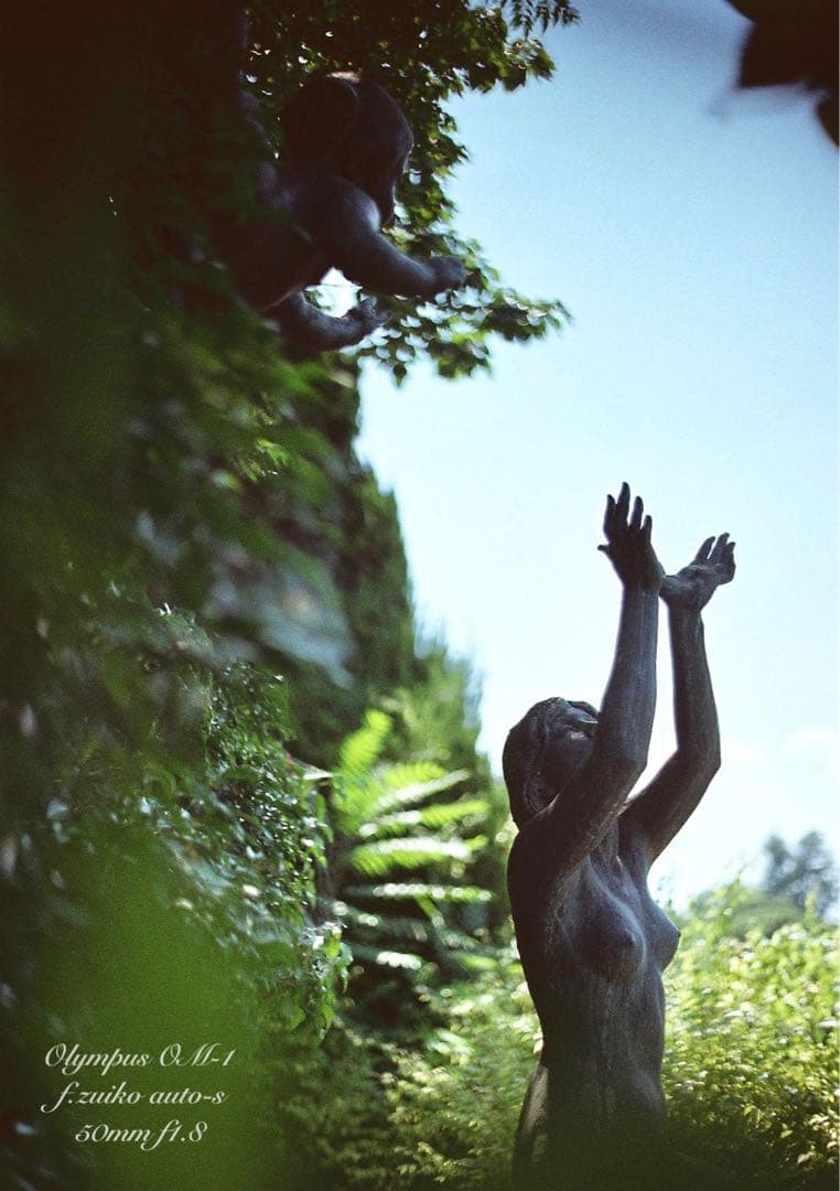 ★完動品＊美品＊初期保証★OM-1 &レンズf1.8★リザード本革外装★作例多数