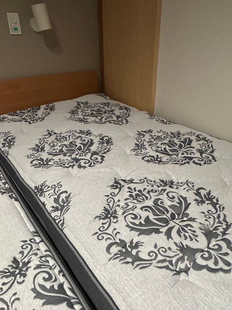 ニトリ Nスリープ ラグジュアリー LS2シングル やわらかめ　使用期間９ヶ月