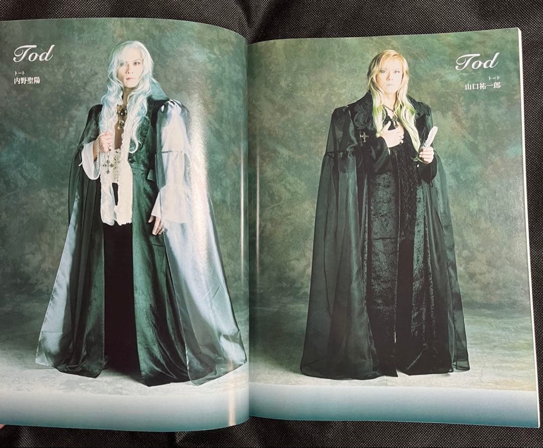 東宝ミュージカル　エリザベート　改訂版　ピアノ弾き語り　楽譜　一路真輝