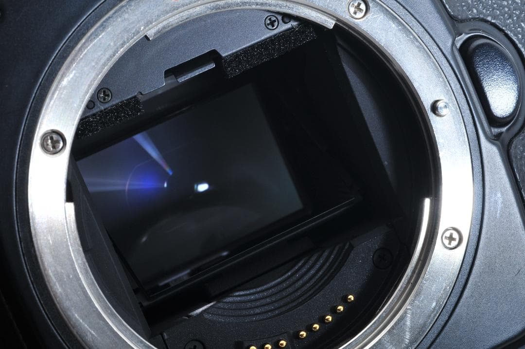 キャノン Canon EOS 1V HS