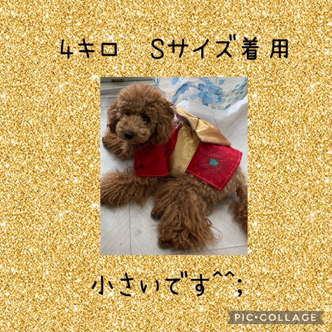 サイズ感イメージ　ハンドメイド 和柄 犬服　犬 着物　浴衣　和服　お祭り　夏