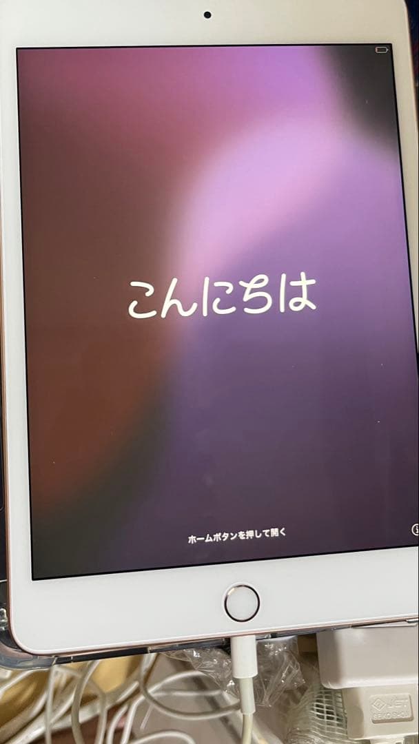 【ジャンク】Apple iPad mini (第5世代) 256GB