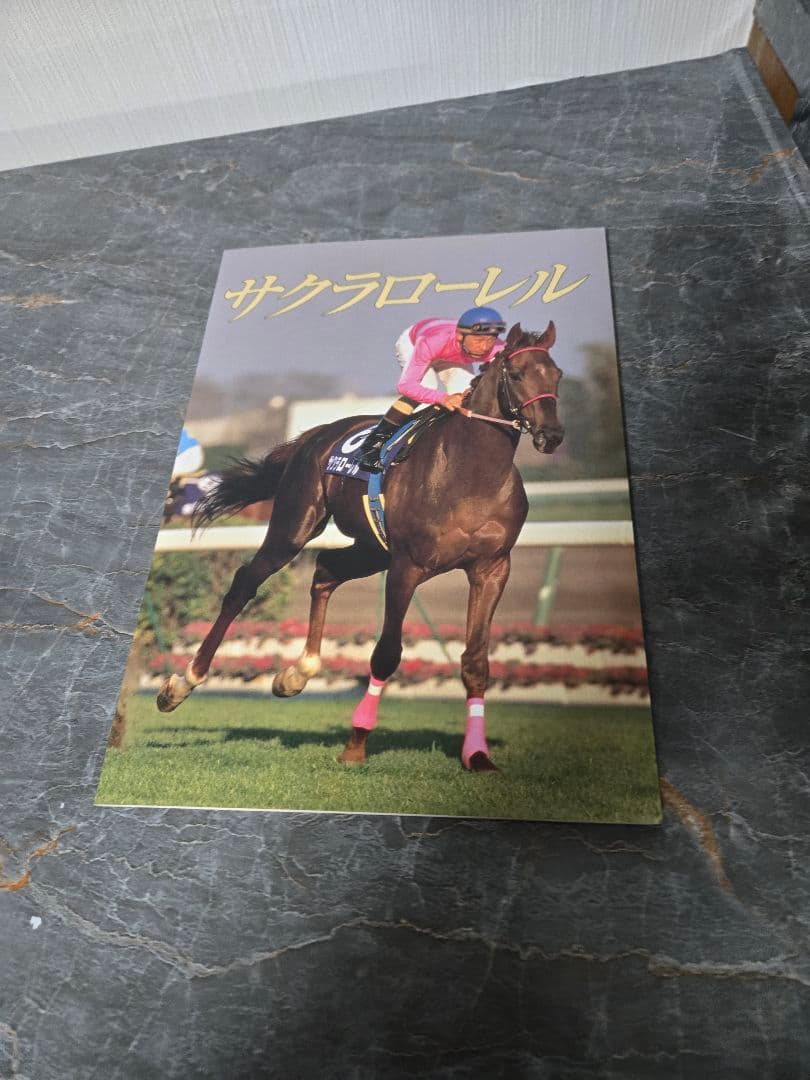 ロビンページです。