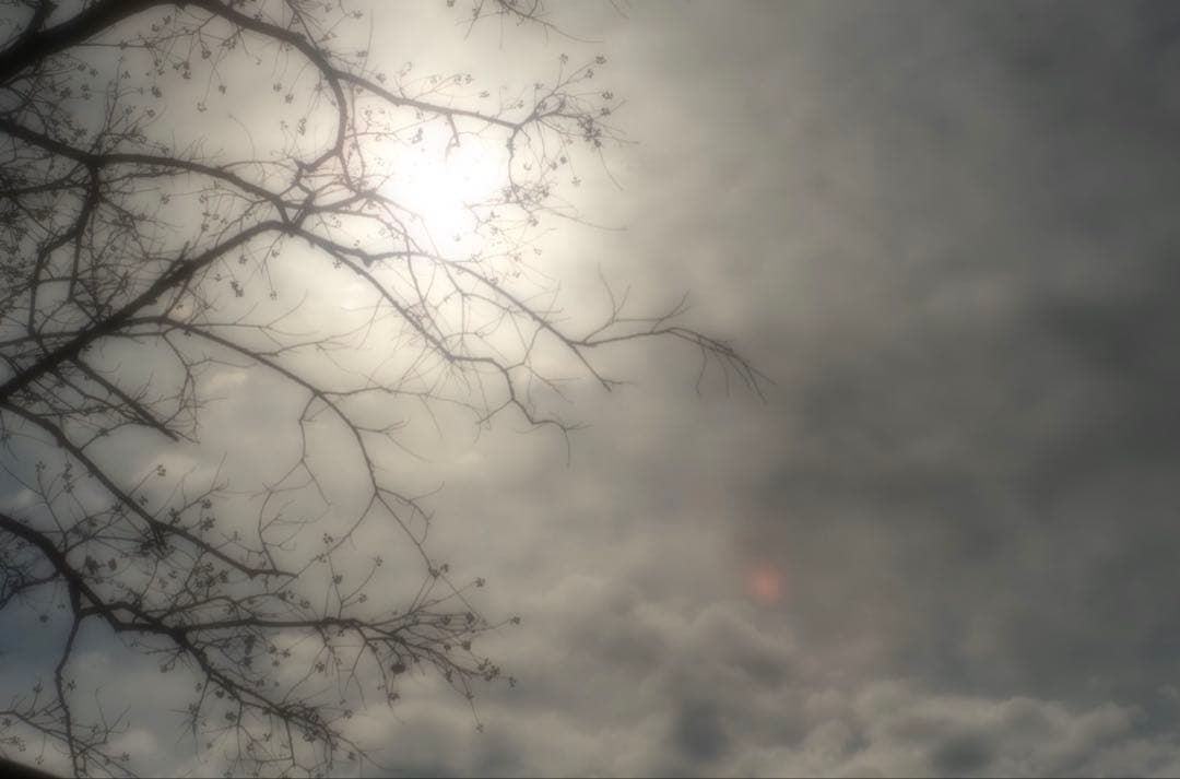 FUJIFILM X-M5レンズキットXC 15-45mm レンズ他付属品色々有