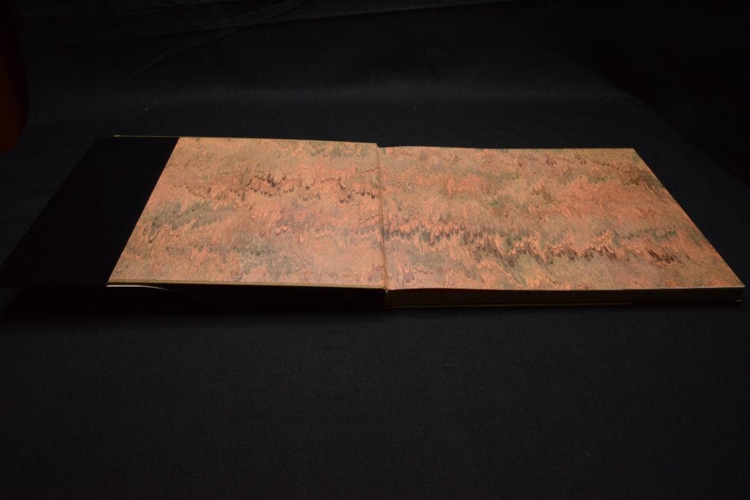 Souvenirs Improbables /Sarah Moon ★値下げした