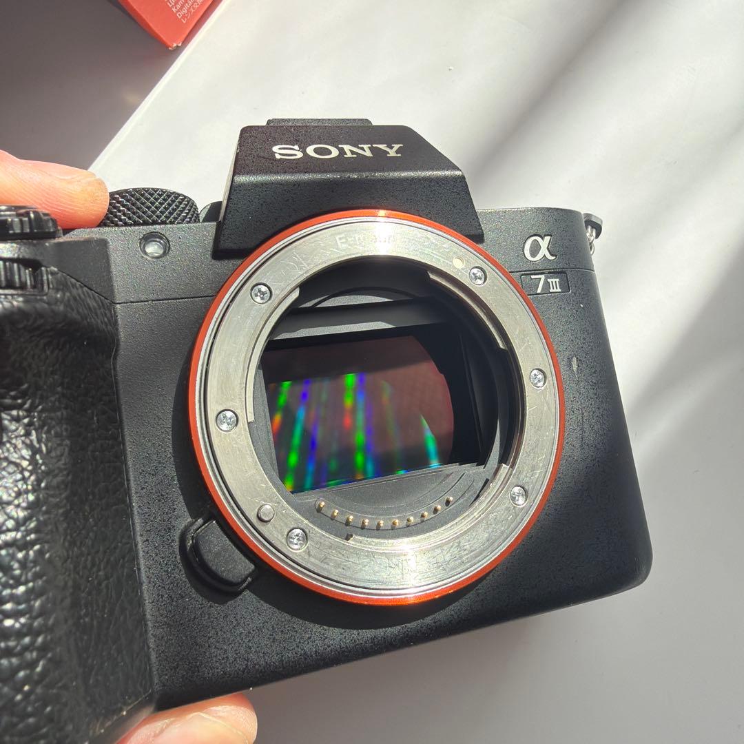 が*ん様 SONY α7 III 本体/フルゲージ(smallrig)