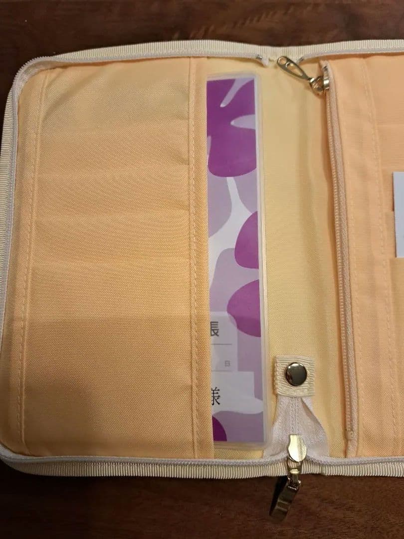 フェイラー　イッツスプリングマルチケース