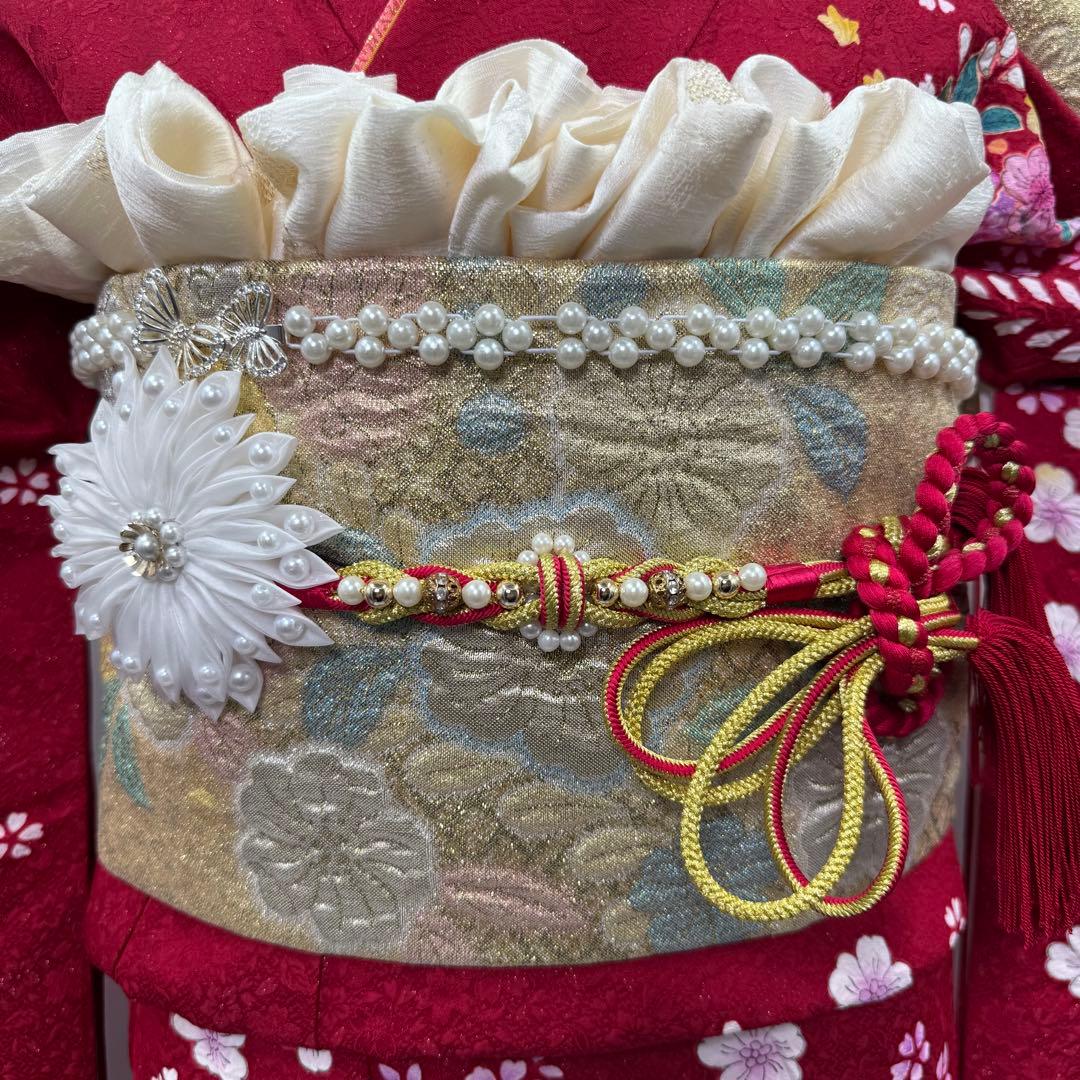 京都きもの友禅　振袖8点フルセット 桜 七宝 絞り 銀通し 正絹 成人式 逸品