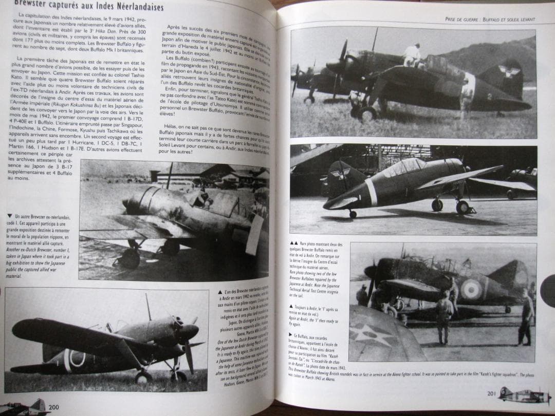 洋書 BREWSTER BUFFALO / Jean-Louis Couston