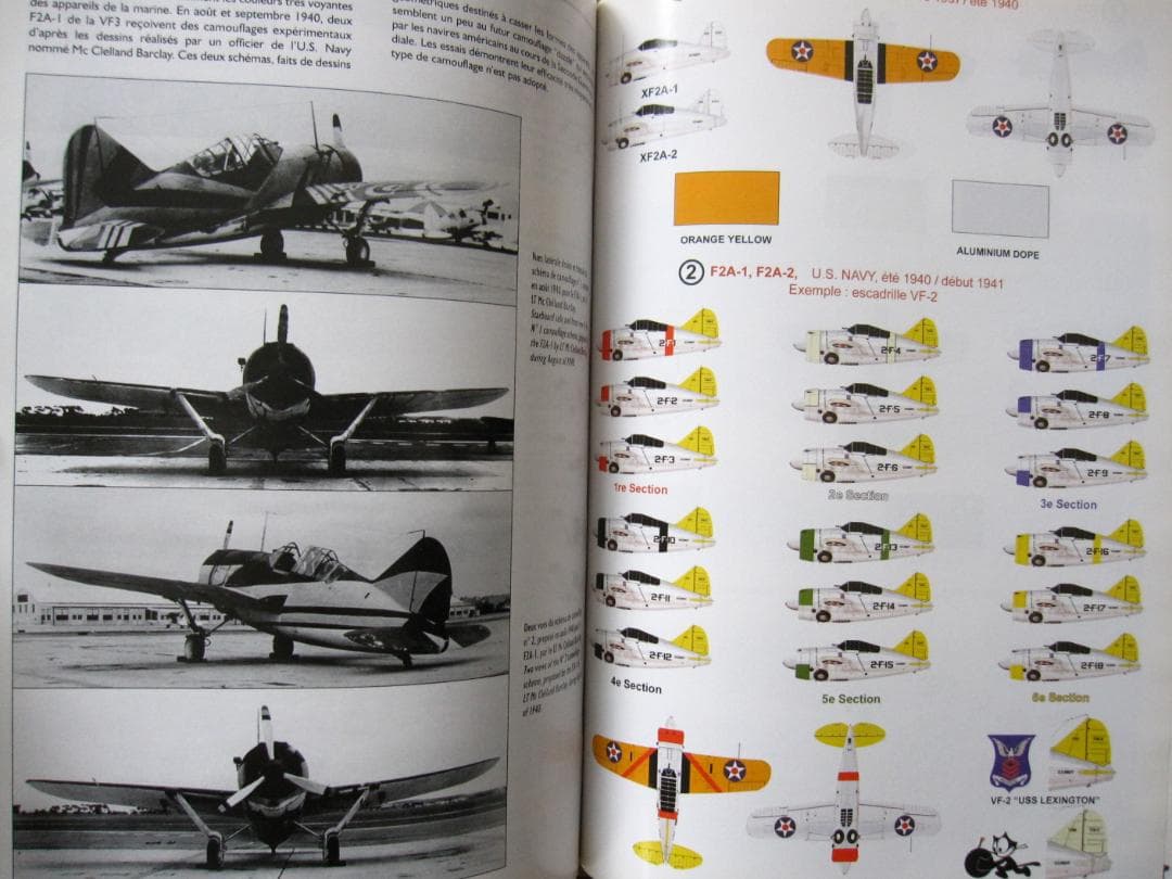 洋書 BREWSTER BUFFALO / Jean-Louis Couston