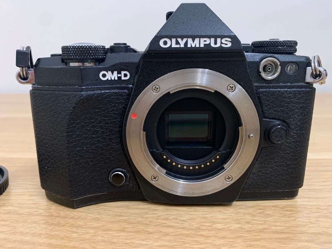 OLYMPUS OM-D E-M5 Mark ブラック 訳あり ジャンク品