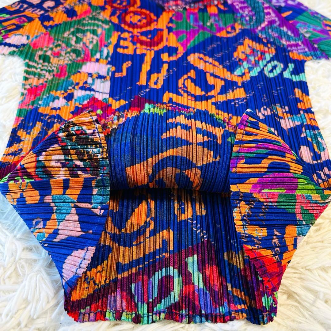 プリーツプリーズ グラフィックアート カットソー 長袖 イッセイミヤケ