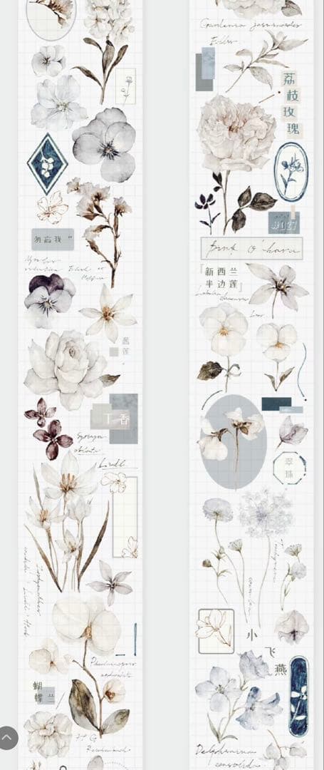 《最終値下げ》海外 マスキングテープ　雀斑茶 6点⚠️pet（33.324