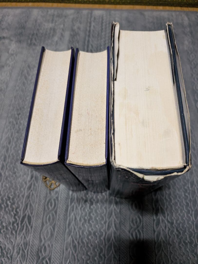 ポーランド語 英語 辞典 対訳 オックスフォード 辞典 発音 語学 参考書 洋書