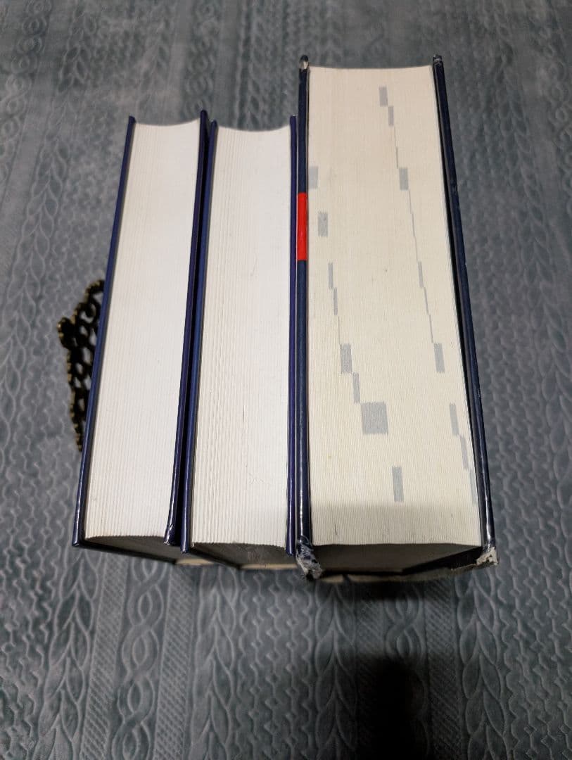 ポーランド語 英語 辞典 対訳 オックスフォード 辞典 発音 語学 参考書 洋書