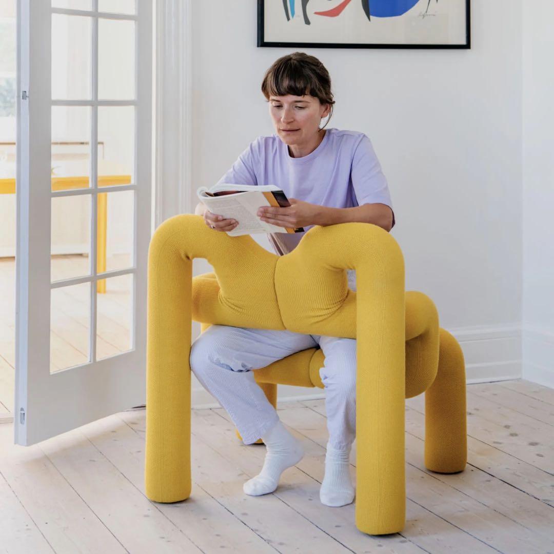 Varier Ekstrem ヴァリエール エクストレム ラウンジチェア　中古