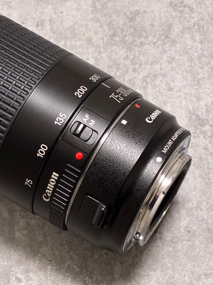 ⭐️美品⭐️Canon EF 75-300 II & EF-EOS M アダプター