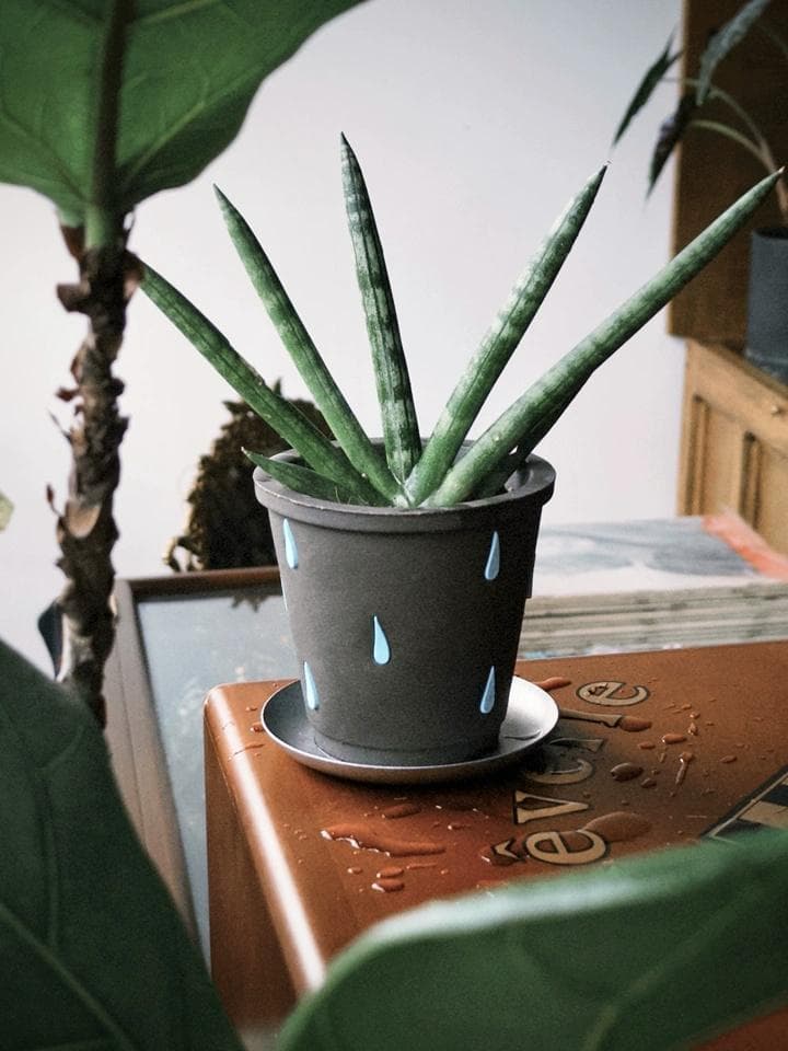 N0280 ciireals 手づくり 高品質 素焼鉢 植木鉢 通気抜群Bセット