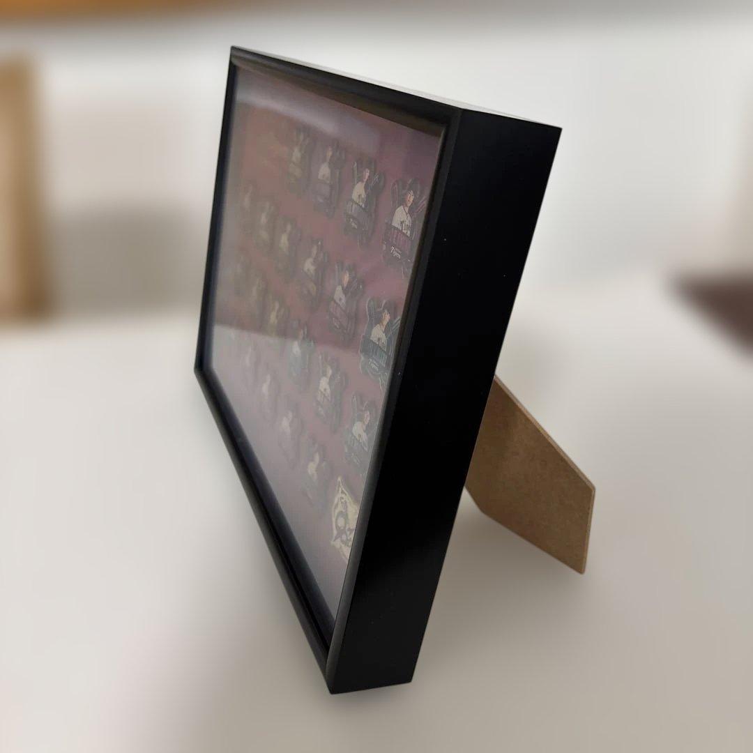 阪神タイガース 2025 ピンズコレクション