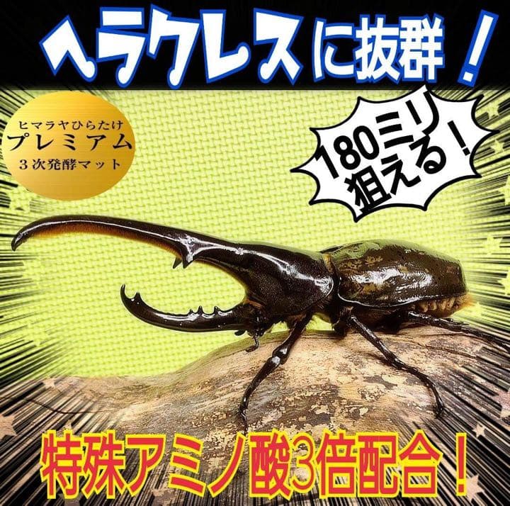 ギネスサイズ実績！特選プレミアム3次発酵カブトムシマット【5袋】特殊アミノ酸配合