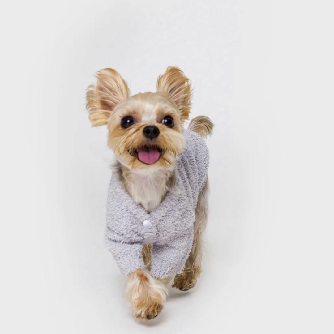 【OVER GLAM】犬服まとめ売り セット S 首輪リード付 定価10万円相当