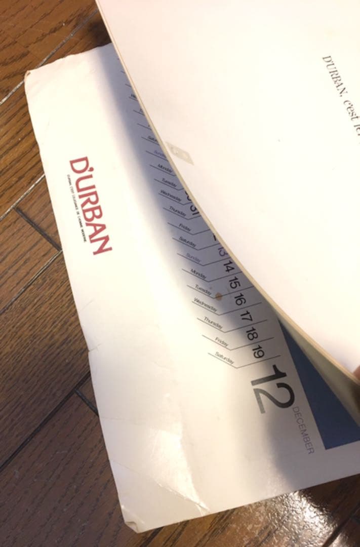 【貴重】アランドロン ダーバンカレンダー　1981