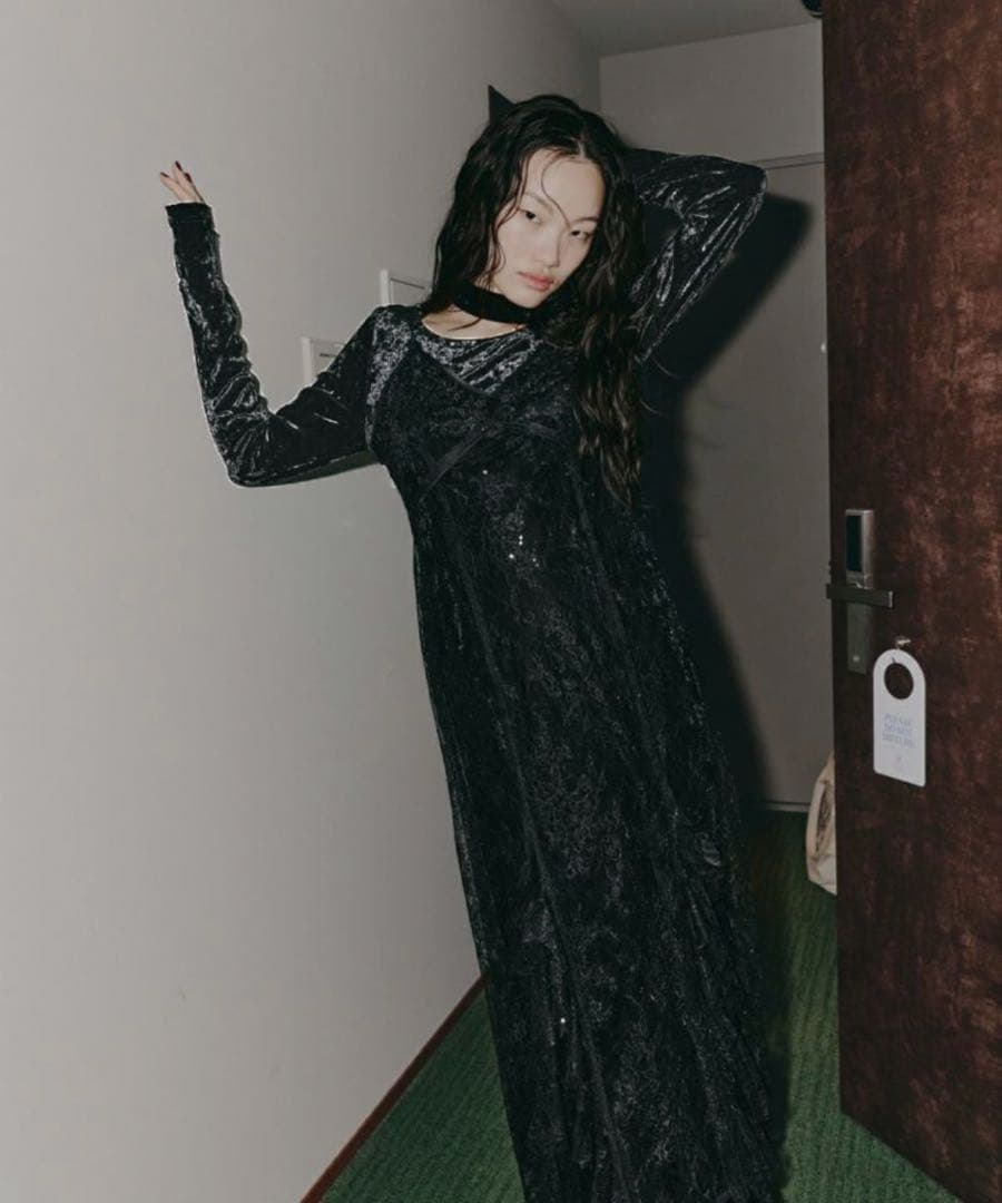 【R】ANDRESD　sparkle lace velour dress