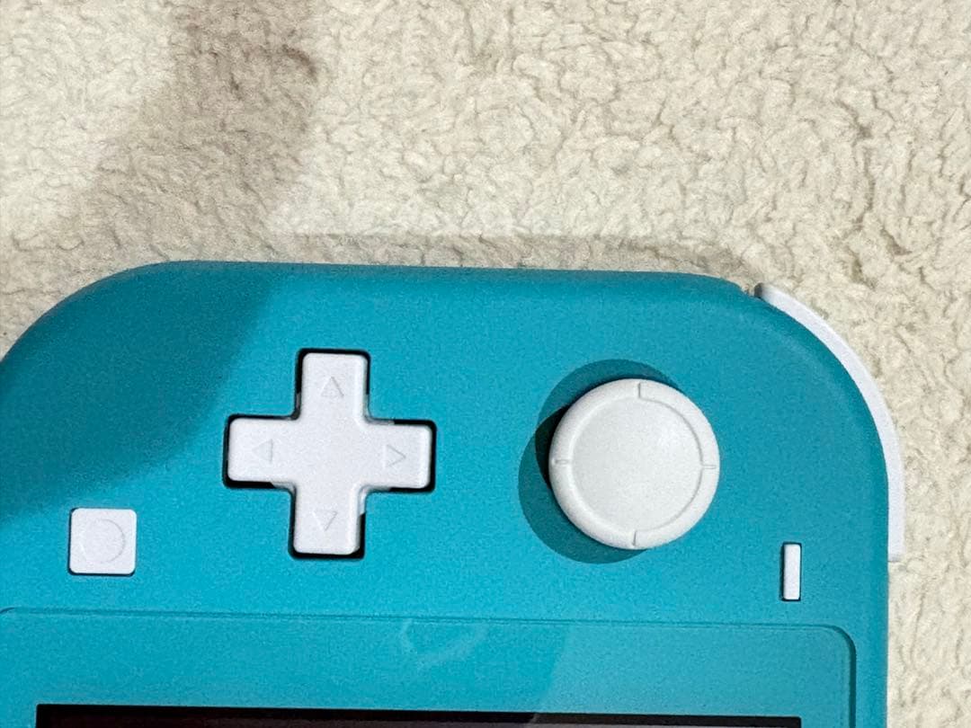 Nintendo Switch Lite 本体・箱・充電器・ケース 2台セット