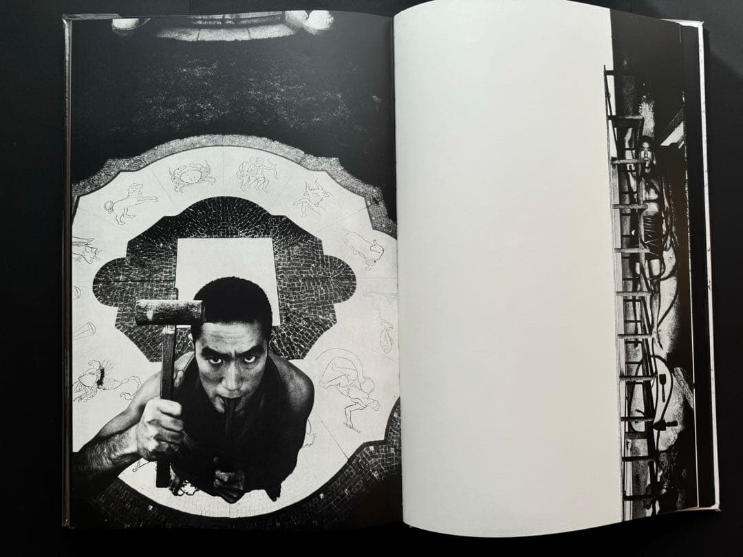 薔薇刑　細江英公　三島由紀夫　完全復刻版　NADiff 2008