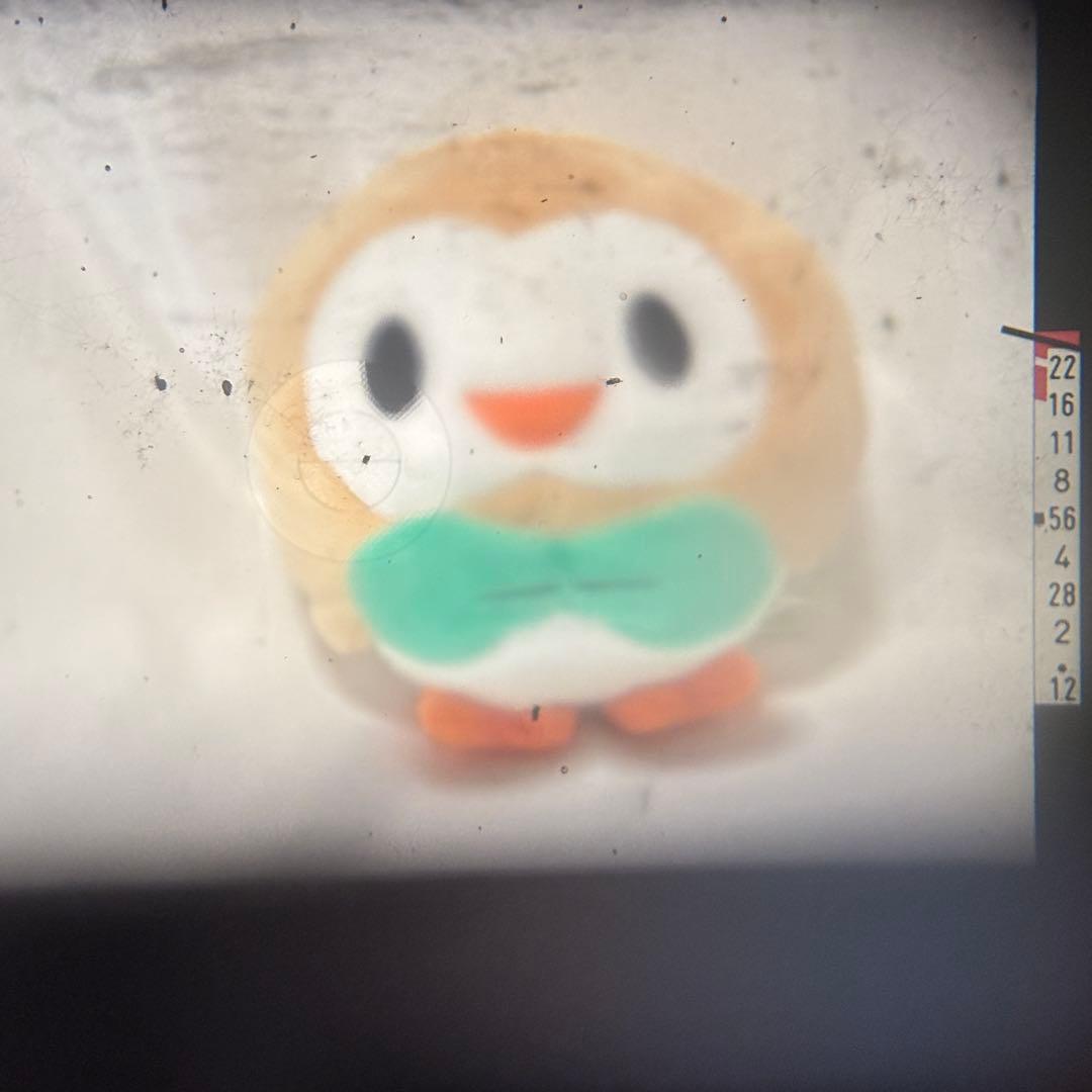 【ただし品】 Canon AE-1 フィルム一眼レフカメラ