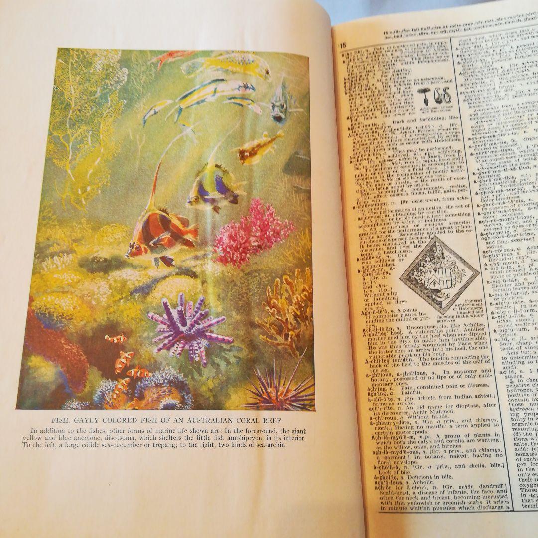 Webster’sNewTwentiethCenturyDictionary