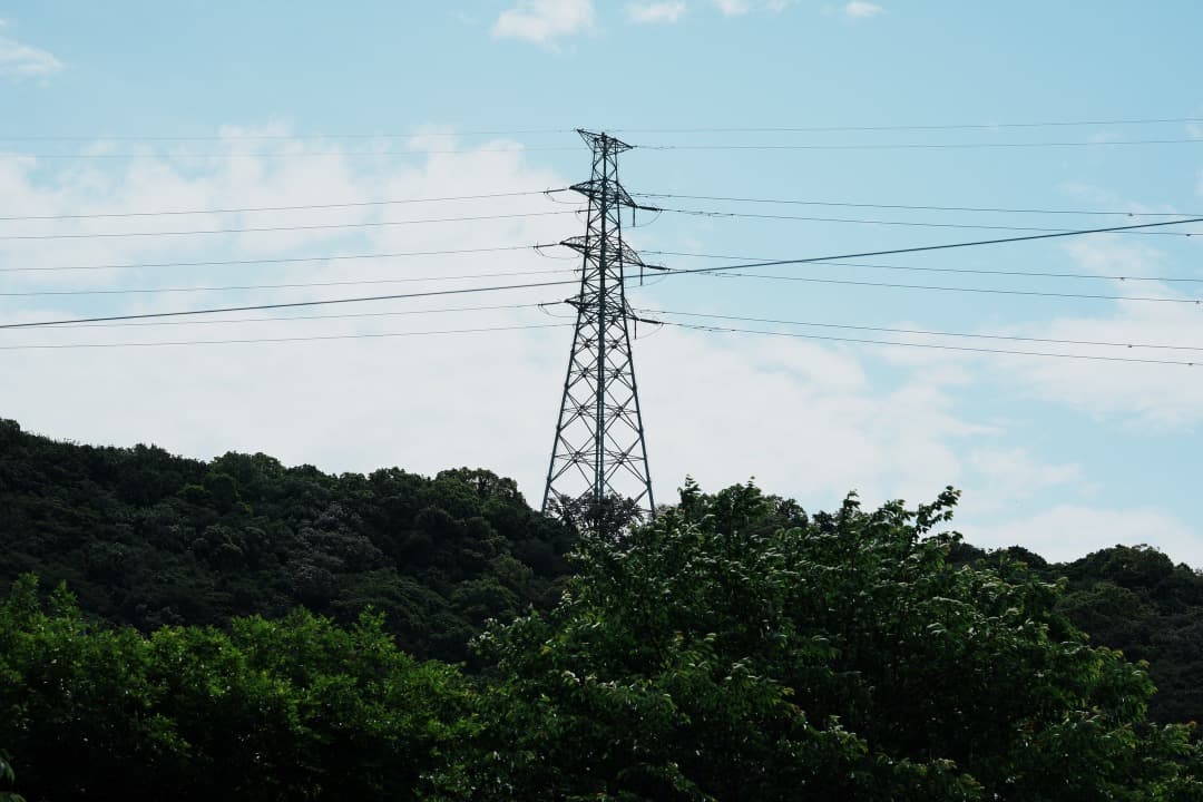 フォクトレンダー MACRO APO-LANTHAR 110mm F2.5