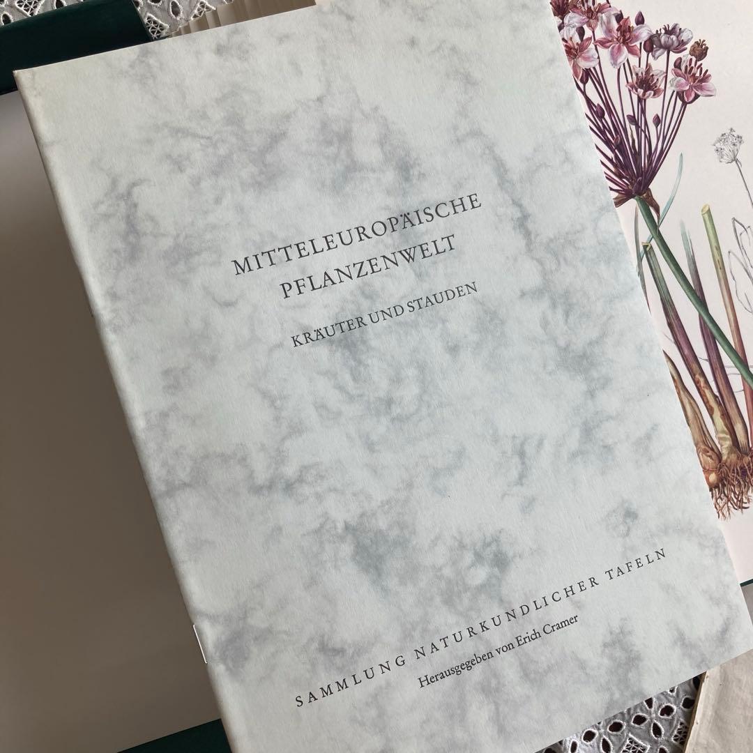 L938洋書古書1957年ドイツ発行美しい植物画プレートが168枚入った植物図鑑