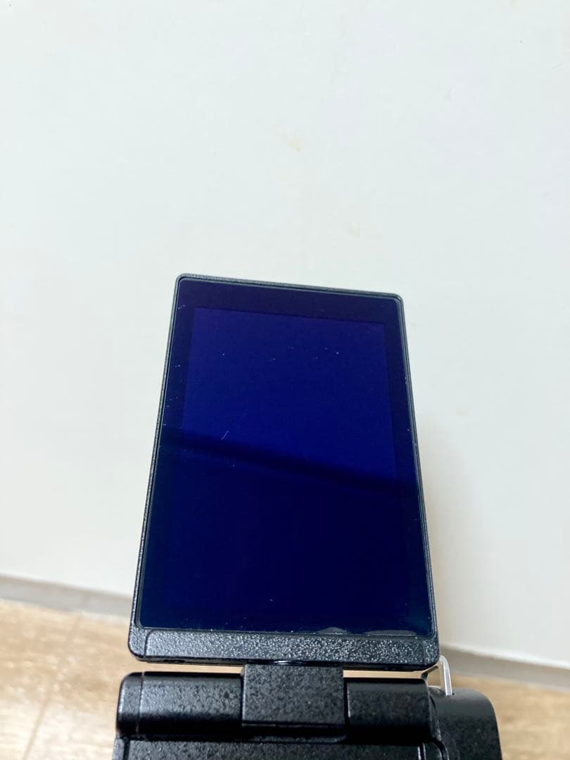 LUMIX DC-G100D 標準ズームレンズキット おまけ多数【中古美品】