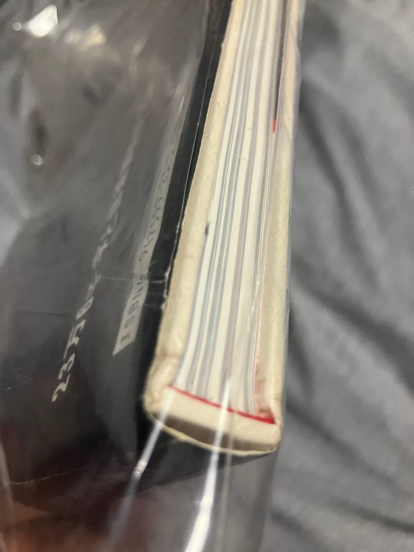 ブランキージェットシティ　写真集　CD付き 浅井健一