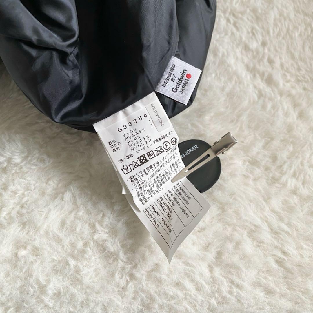 GOLDWIN GORE-TEX 2L Pants スキーウェア　2025 XL