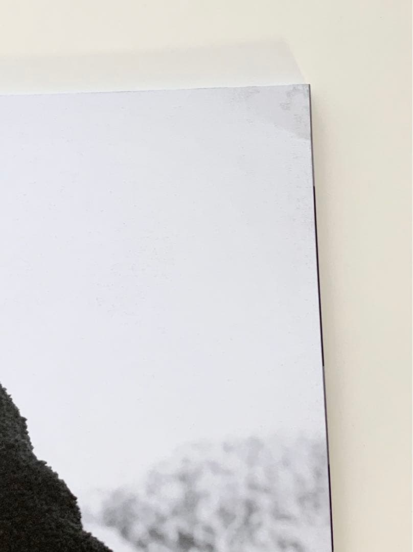 女性情報誌 GLASS Winter 2020 Issue44 Dove Cameron