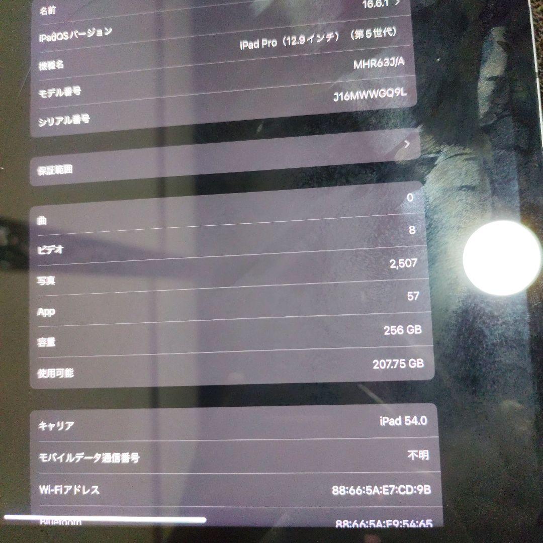 ジャンク！iPad Pro 12.9インチ 第5世代 256GB セルラーモデル