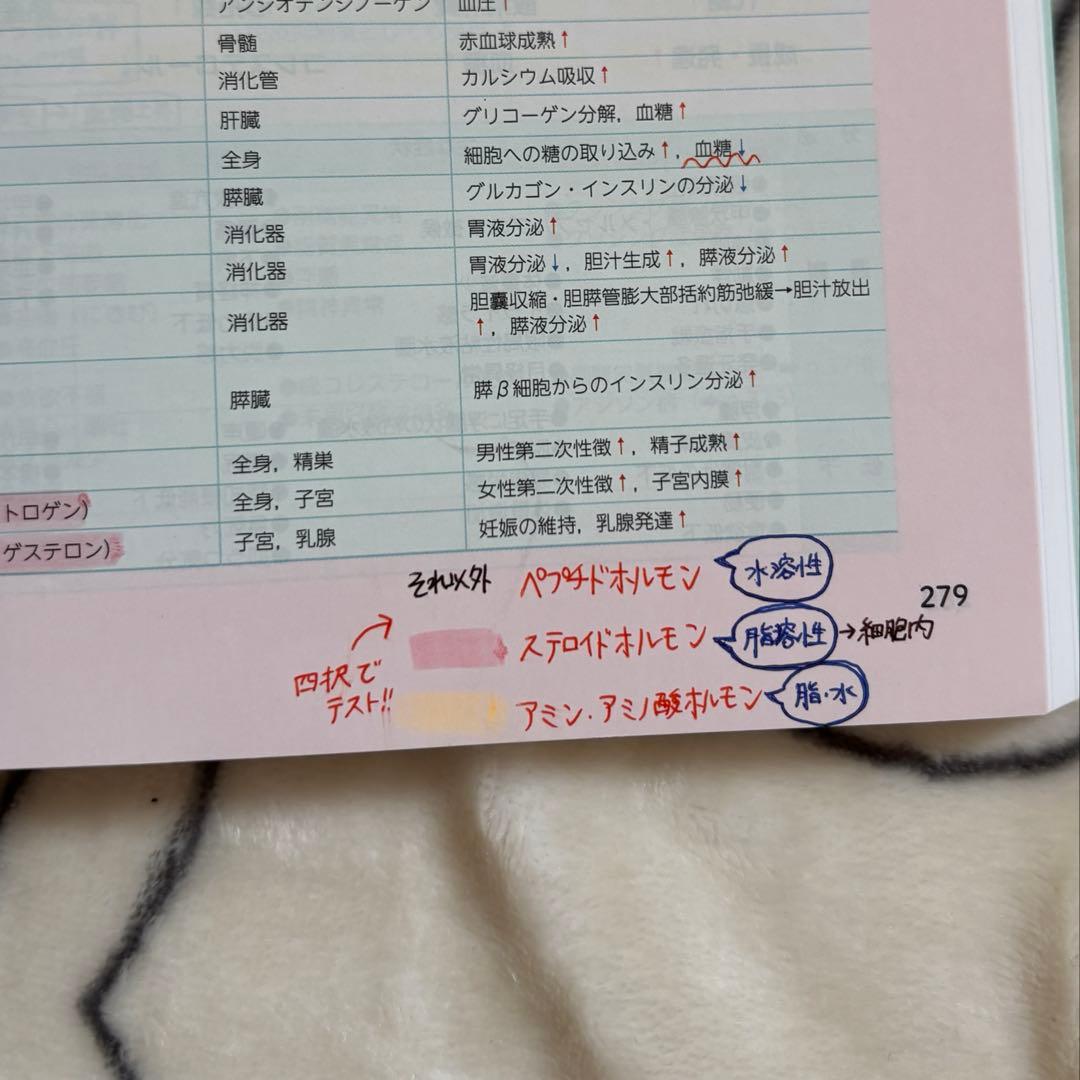 ナーシンググラフィカ 疾患と看護