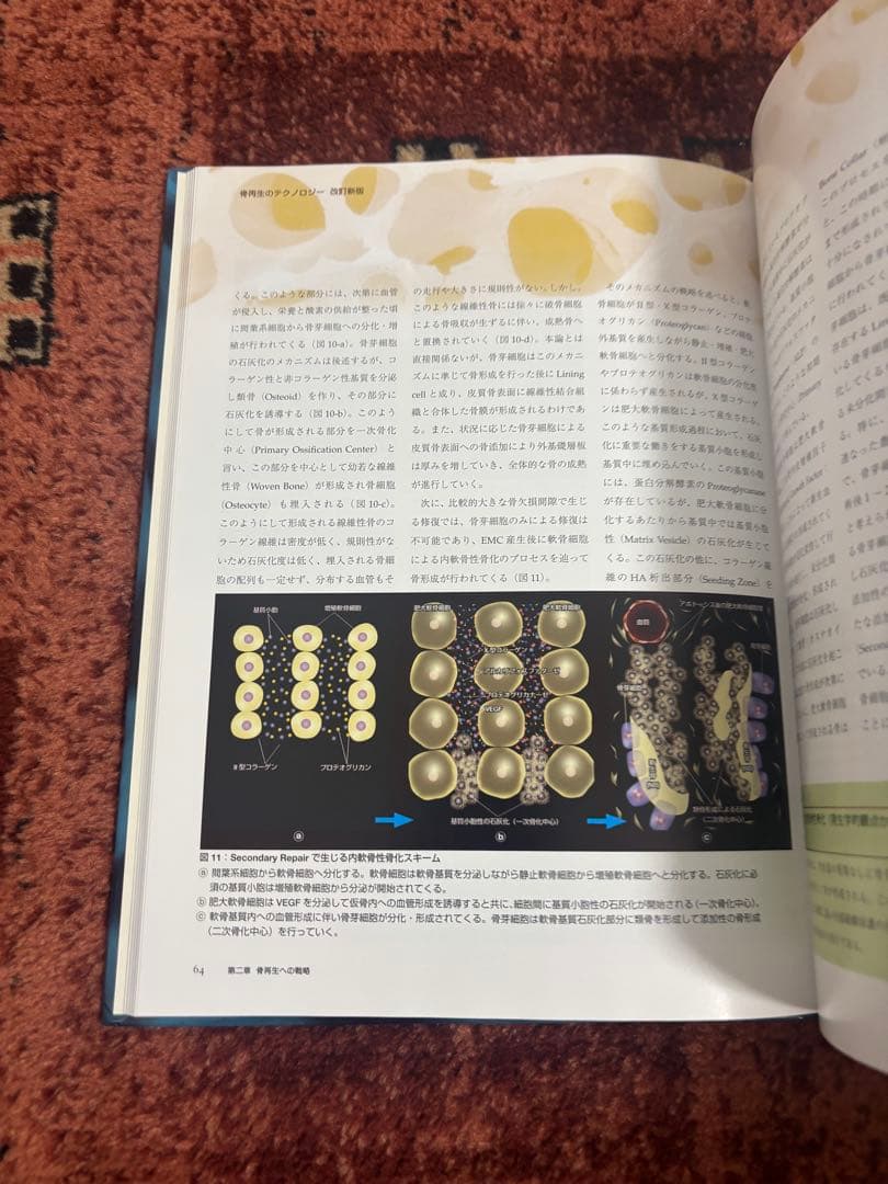 骨再生のテクノロジー 改訂新版