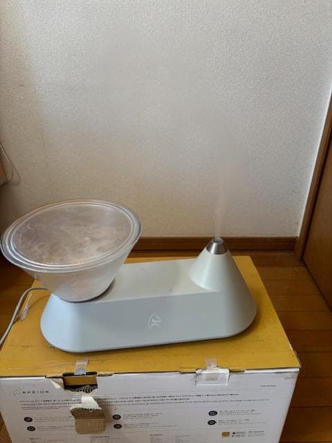 エペイオス (Epeios) 加湿器 FoElem Heal HM501A