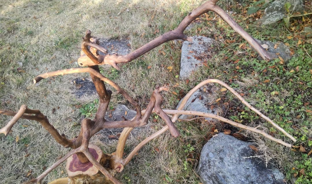 バードアスレチック　鳥用止まり木