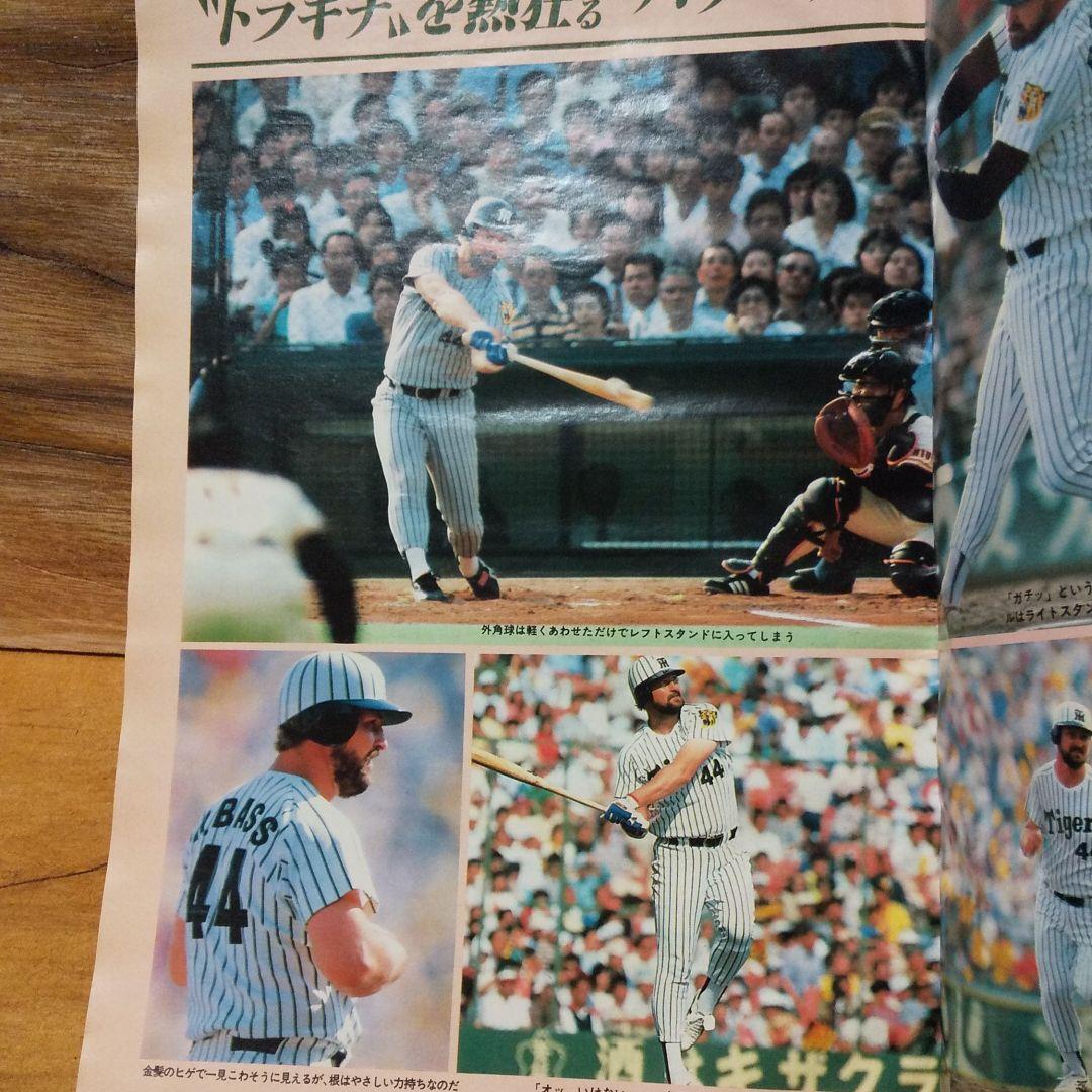 阪神タイガース